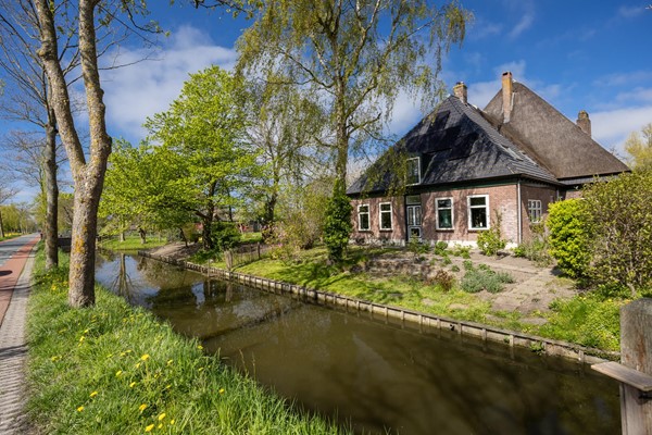 FotovanDana-Wollegras 77-50.jpg